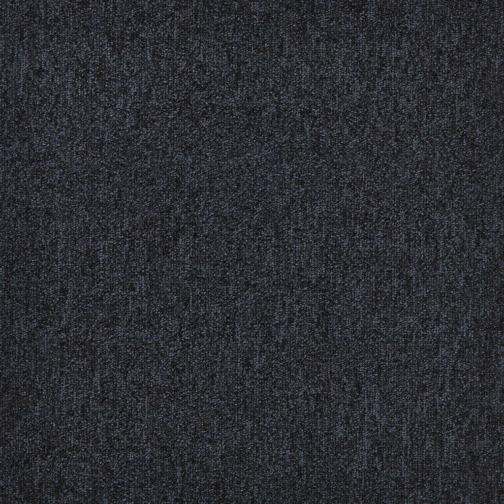 First Forward 4553