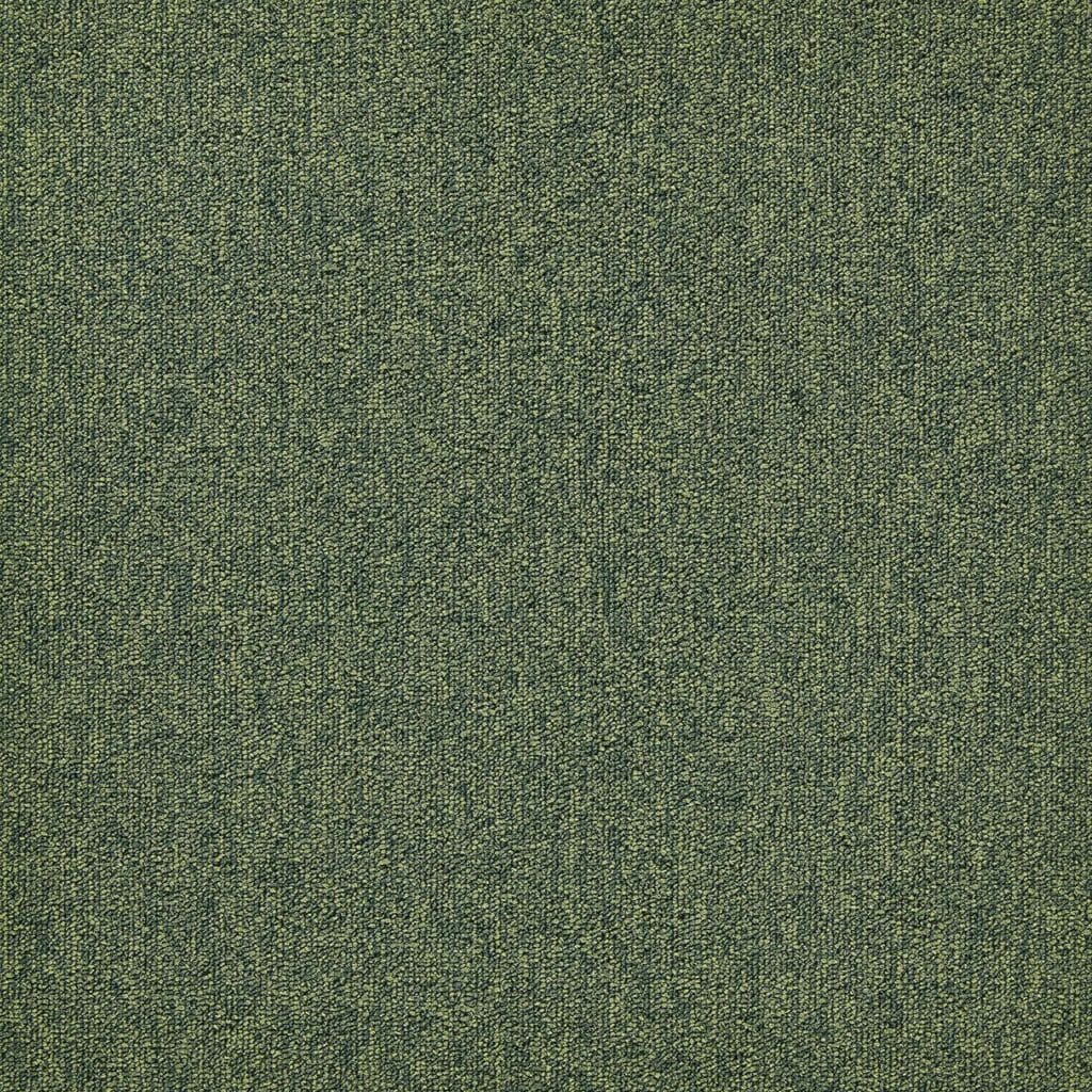 First Forward 4625