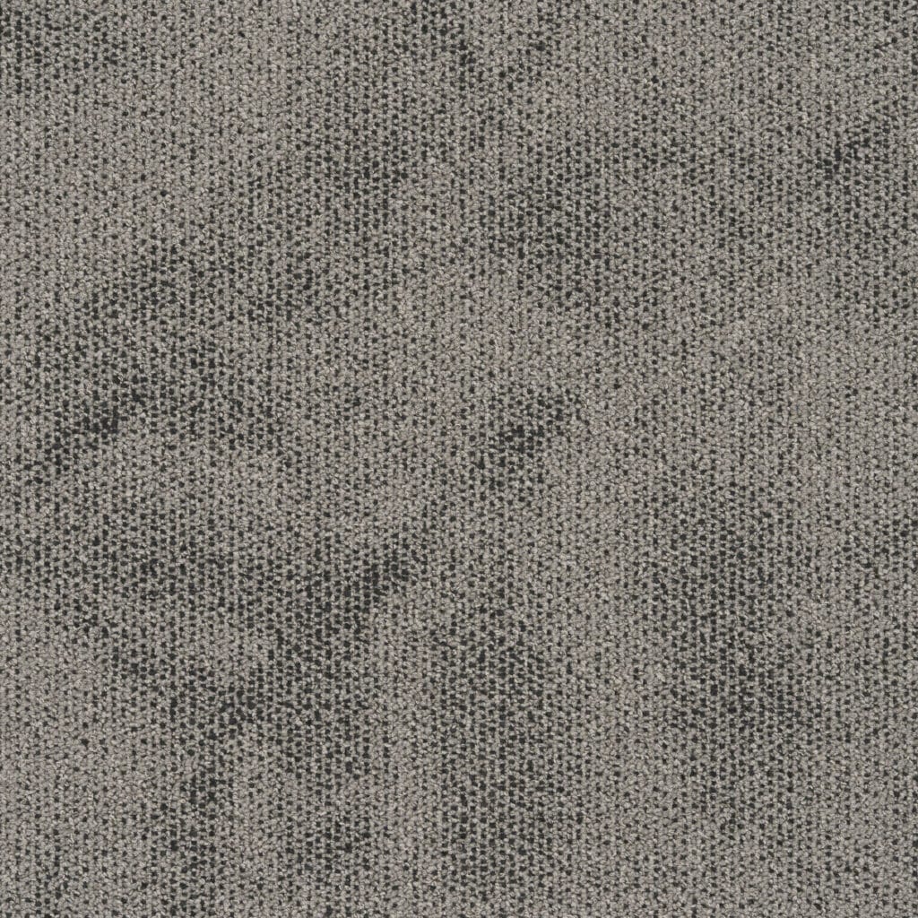 Daydream 4950