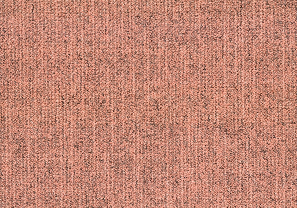 Canvas 4220