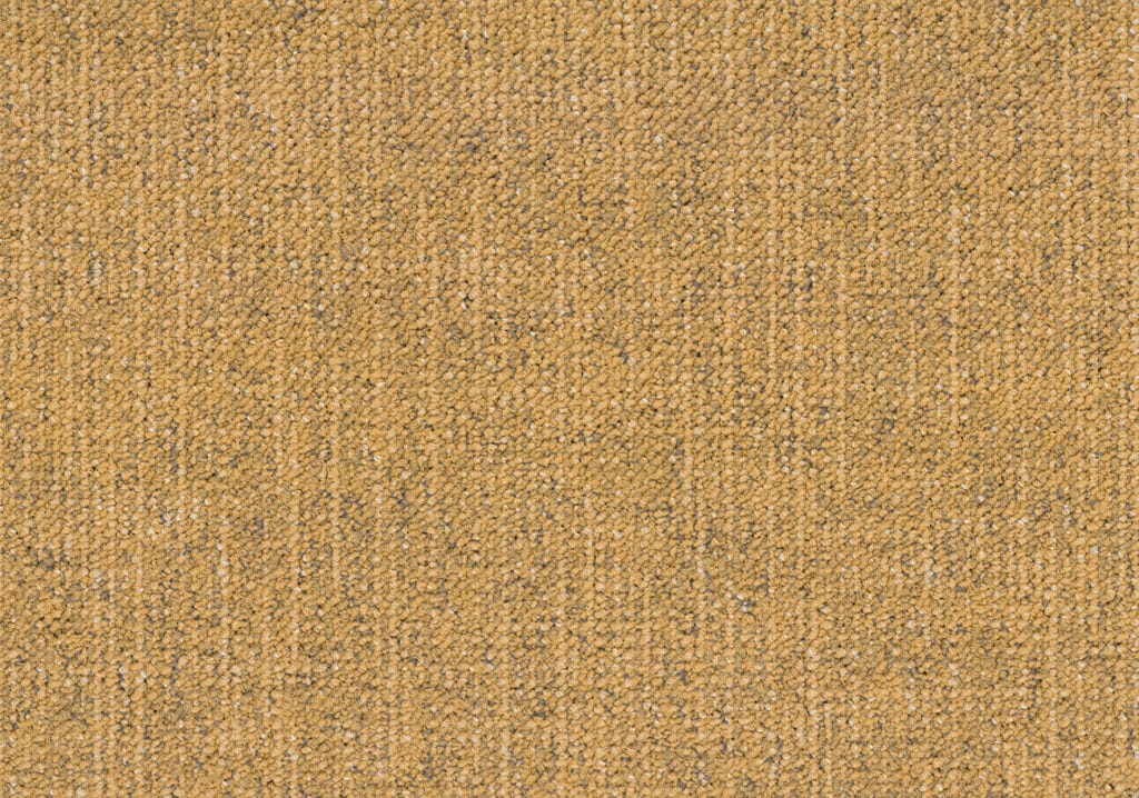 Canvas 4225
