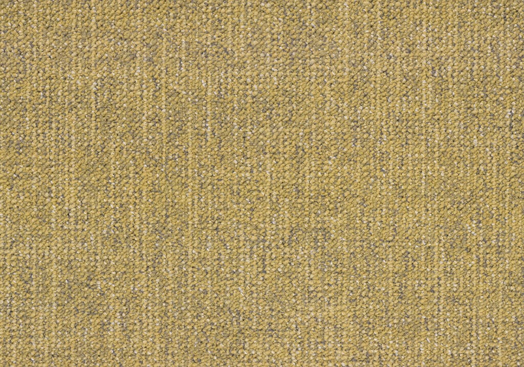 Canvas 4230