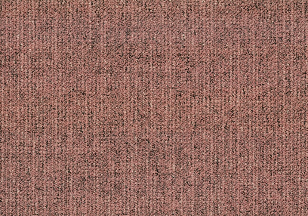 Canvas 4310