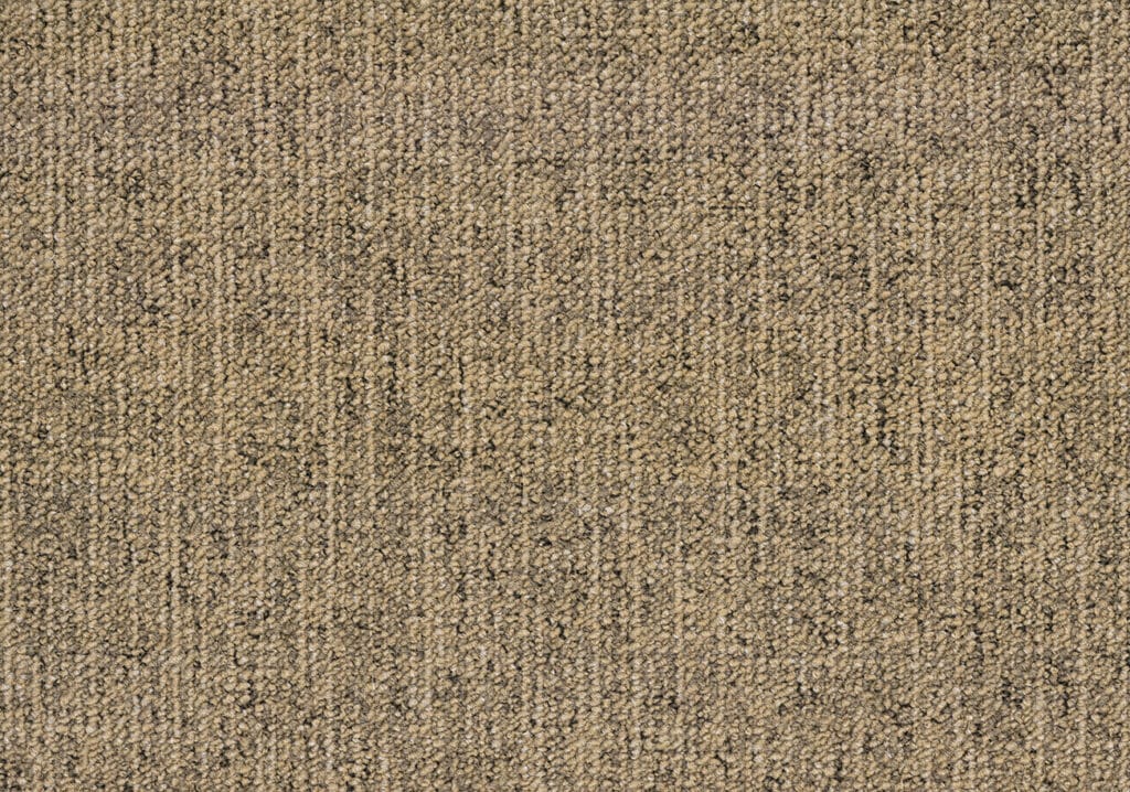 Canvas 4815