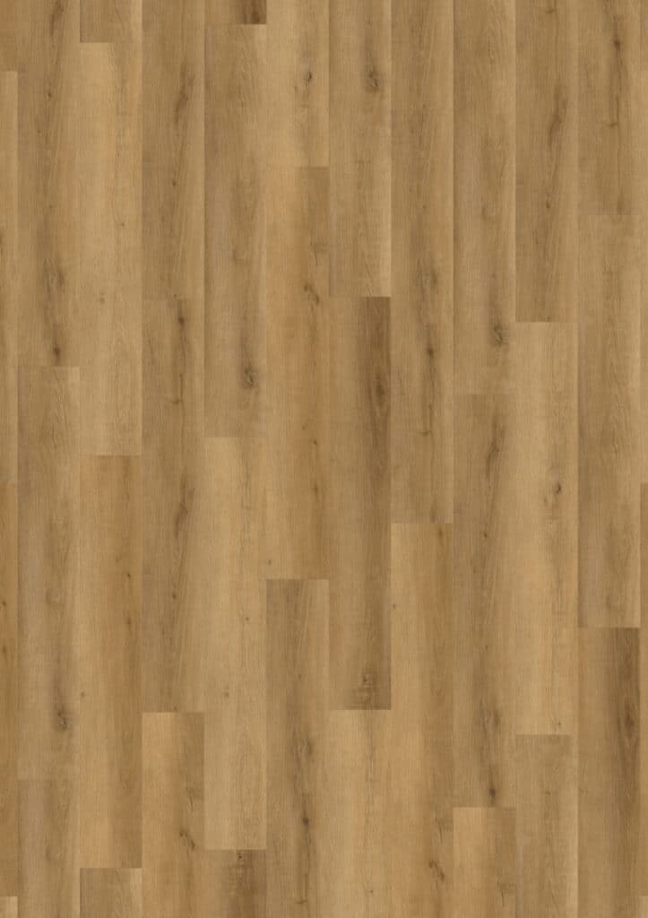 Cavalio 59329 Harvest Oak