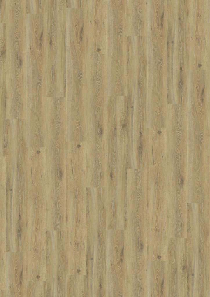 Cavalio 37002