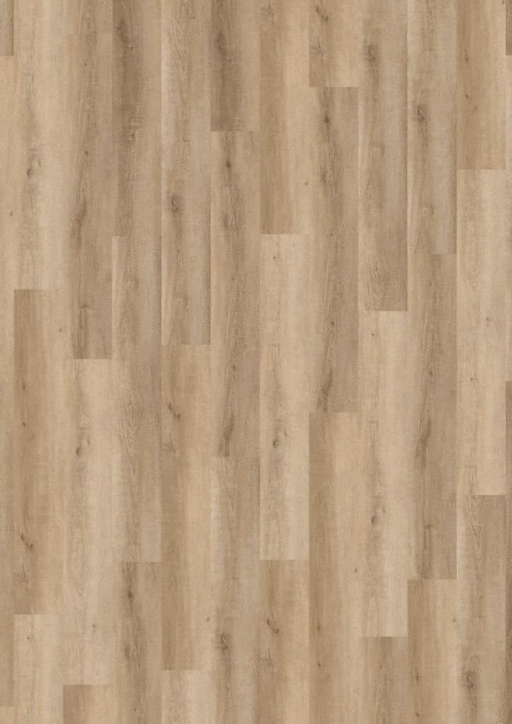 Cavalio 37027