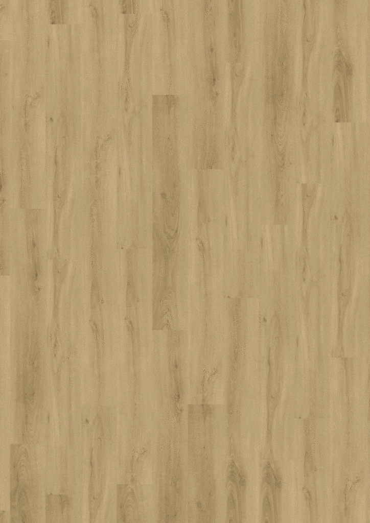 Cavalio 37028