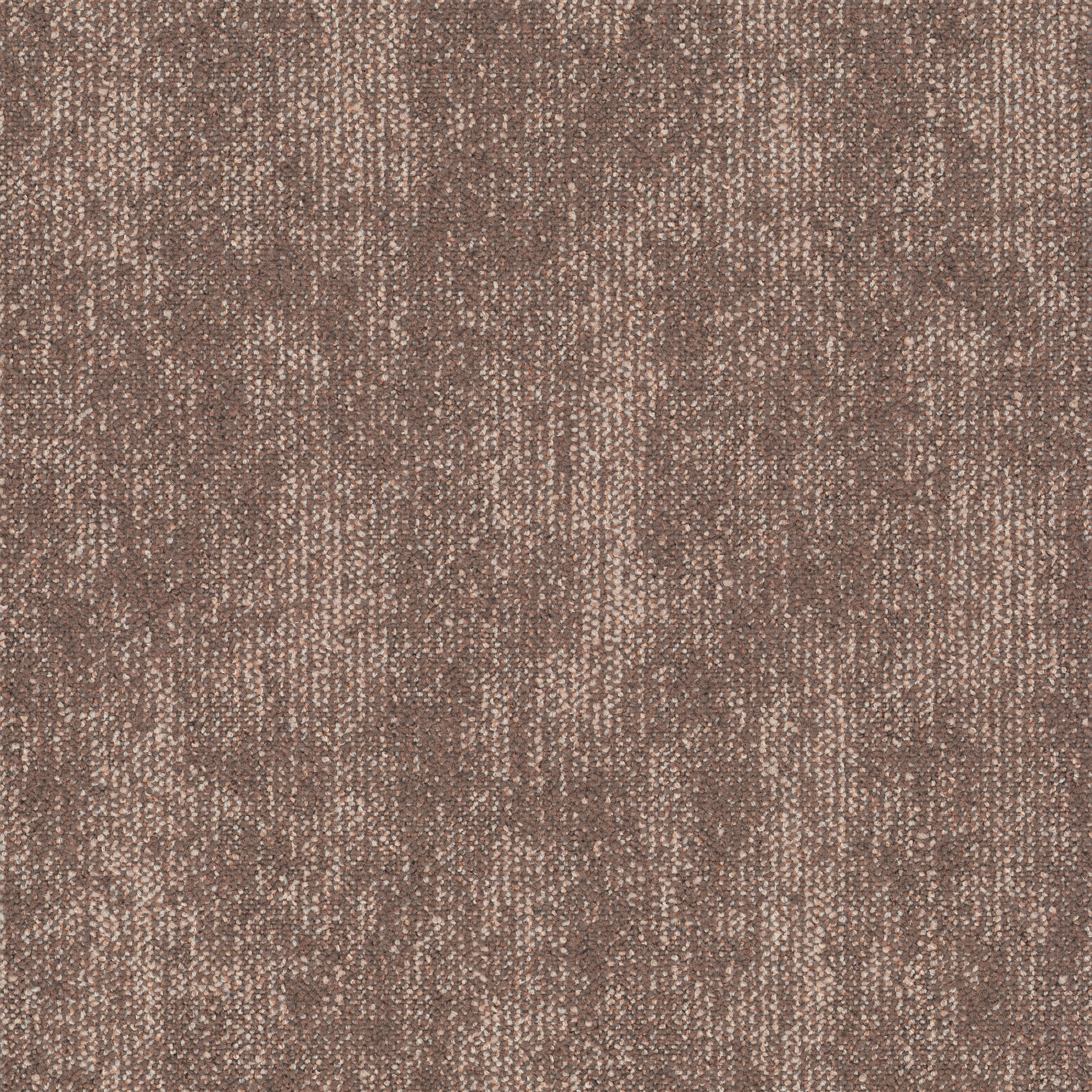 Ivy 4344